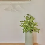 Mantis' House Lägenhet