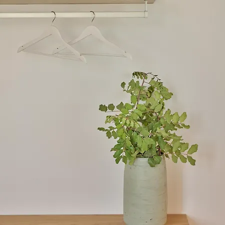 Mantis' House 公寓