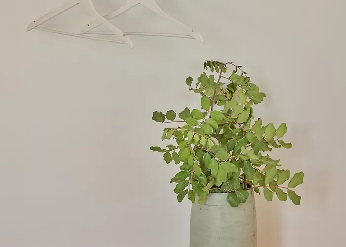 Mantis' House Apartment